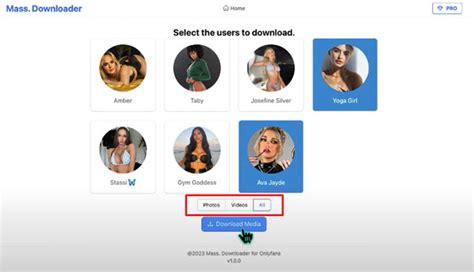 bulk onlyfans|5 empfehlenswerte OnlyFans Downloader 